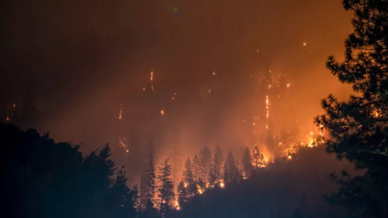 Das Bild zeigt einen Waldbrand - sinnbildlich für eine Naturkatastrophe.